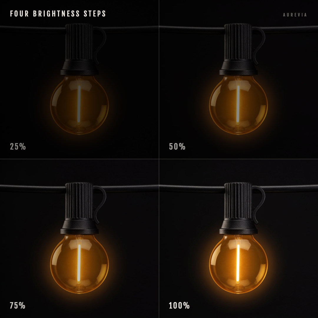 The same G40 festoon bulb shown at four brightness levels, 25, 50, 75 and 100 per cent