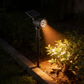 Aurevia Pin 9 solar spotlight staked in a garden border, uplighting a shrub with warm light at night